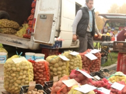 Kartupeļu svētki – 10. oktobrī