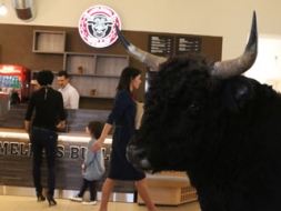 “Konzumā” interesi raisa “Melnais bullis”