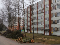 Nozāģē kokus, atjaunos kanalizācijas trasi