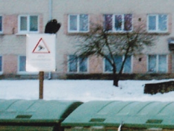 Kovārnis „uzrauga” lomā?