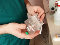 Ar jūliju suņiem jābūt čipētiem un reģistrētiem