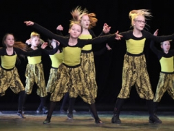 Mūsdienu deju kolektīvu skate Madonā
