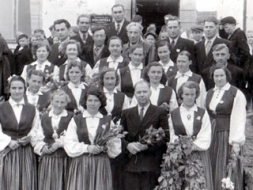 Pieminam Dievkociņu dzimtu