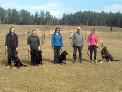 Sporta sacensības – kā suņu apmācību “eksāmens”