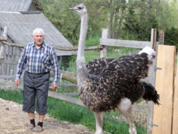 Strausu audzētājam nav garlaicīgi