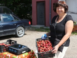 Arī vietējie audzētāji sāk piedāvāt zemenes