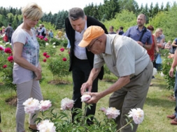 Peoniju svētki – ziedoši un apmeklēti