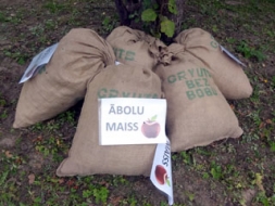 Netradicionālās sporta spēles „Ābolu drudzis”