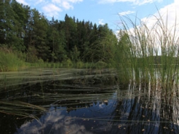 Neļausimies “pareģotājiem”, domāsim reāli!