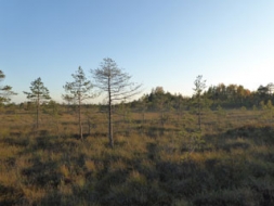 Dāvana Latvijai – fotogrāfijā vai atmiņu pierakstos