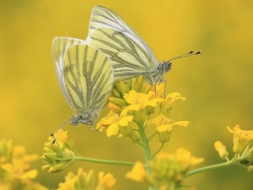 Fotografēšana kā izraušanās no ikdienas