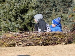 Arborētumā izzina putnu noslēpumus