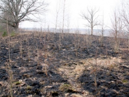 Sākusies kūlas ugunsgrēku “sezona”