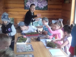 Pa meža takām un piena ceļu