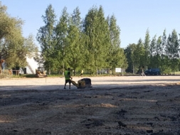Praulienas stadiona rekonstrukcija