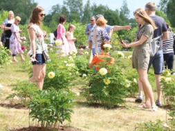 Peoniju svētki iepriecina ar ziedošu dārzu