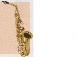 Misiņa koka pūšamais instruments