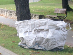 Lielie maisi lapām jau būs pieejami