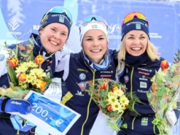 Ar Skandināvijas valstu dominanti
