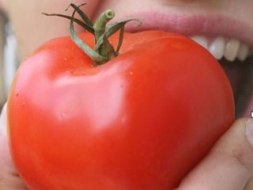 „Pomodoro” – zelta āboli
