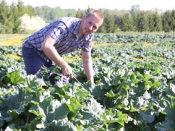 Visu cieņu vitamīniem – rabarberiem