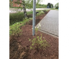 Baznīcas apkārtne kļuvusi skaistāka