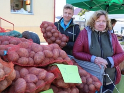 Tradicionālie Kartupeļu svētki Madonā