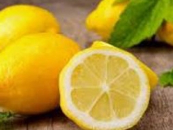 „Vai zini zemi, citronas kur zied?”