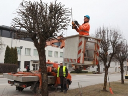 Arī šogad būs pieejami lielie maisi