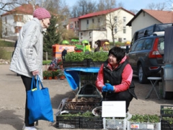 Šopavasar stādīsim un sēsim vairāk