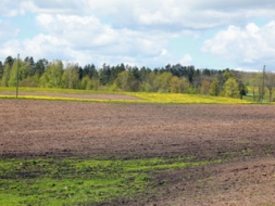 Aktīvi iesniedz pieteikumus platībmaksājumiem