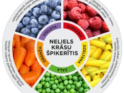 Vitamīnu palete no dabas, ko uzņemt vasarā