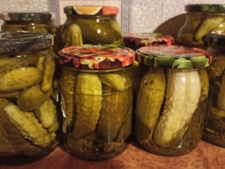 Raža burciņās – ziemas krājumiem