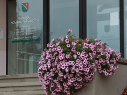 Paaugstina algas pašvaldības sistēmā strādājošajiem