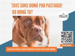 Aicinām iesaistīties Madonas suņu pastaigu laukuma izveidē