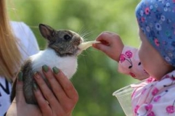Lauku sētā daudz brīnišķīgu iespaidu