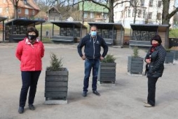 Dēstu tirgus laukums ir sagatavots