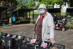 Kļūstot siltākam, atdzīvojas stādu tirdziņš