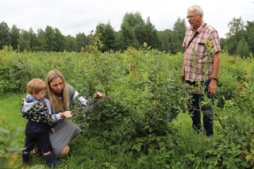 Šogad krūmmelleņu sezona īsāka