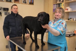 Veterinārārsta prakse – jaunās telpās