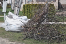 Madonā uzsākta lapu maisu izsniegšana