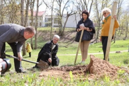 Glika ozoliņš kuplos arī Mīlestības graviņā