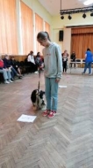 Jaunieši izbauda kanisterapiju
