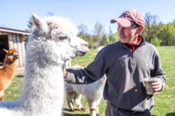 Interesentiem atvērta alpaku saimniecība