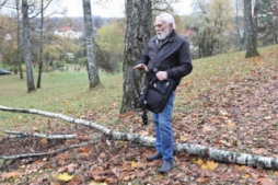 Pievērsiet uzmanību bīstamajiem kokiem!