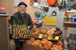 Vitamīni jau aug kastītē uz palodzes — zaļie lociņi