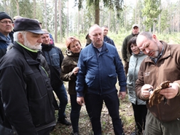 Meža īpašnieki nevēlas zaudēt cīņā ar astoņzobu mizgraužu armiju