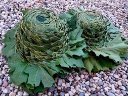 Top netradicionālas galvas rotas