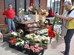 Vietējie sezonālie ziedi — ekskluzīva prece