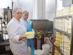 Novērtē ieguldījumu “Jāņu siera” ražošanā
